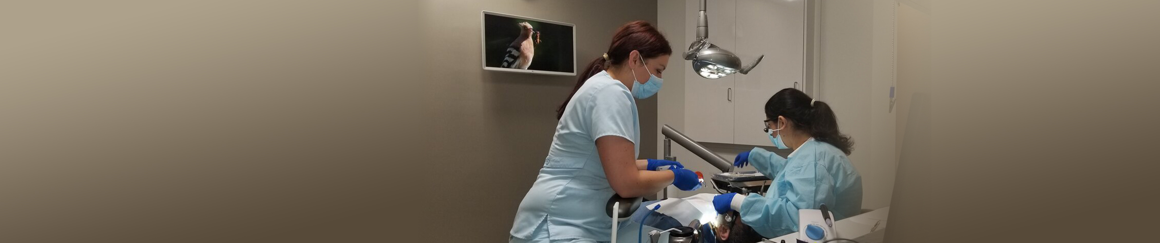 Des Plaines Dentist